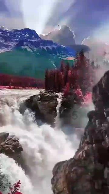 救援旅游者