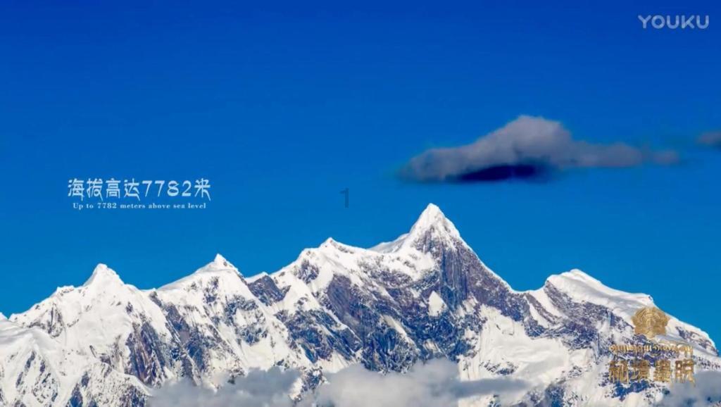奥斯卡红毯秀