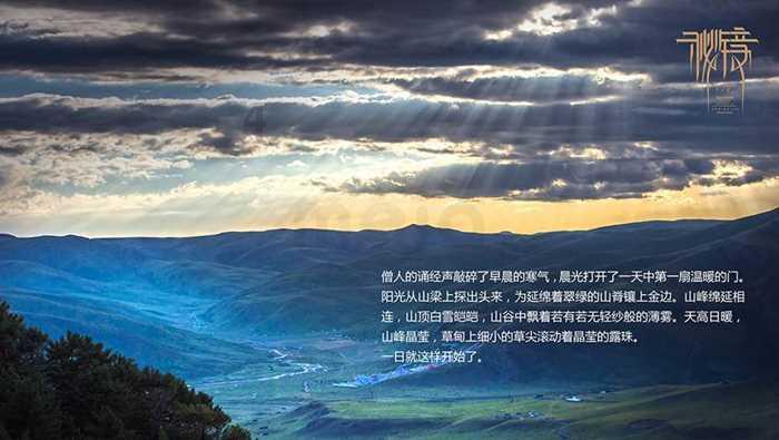 容百科技净利腰斩却