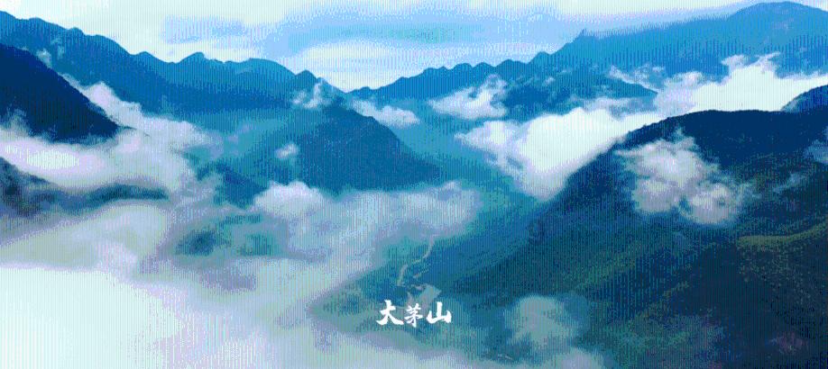 袋鼠兄弟2