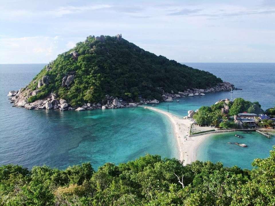 茂密丛林逃生