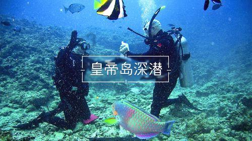 陕西一银行拒不配合法院执行被罚100万，行长拘留15日！