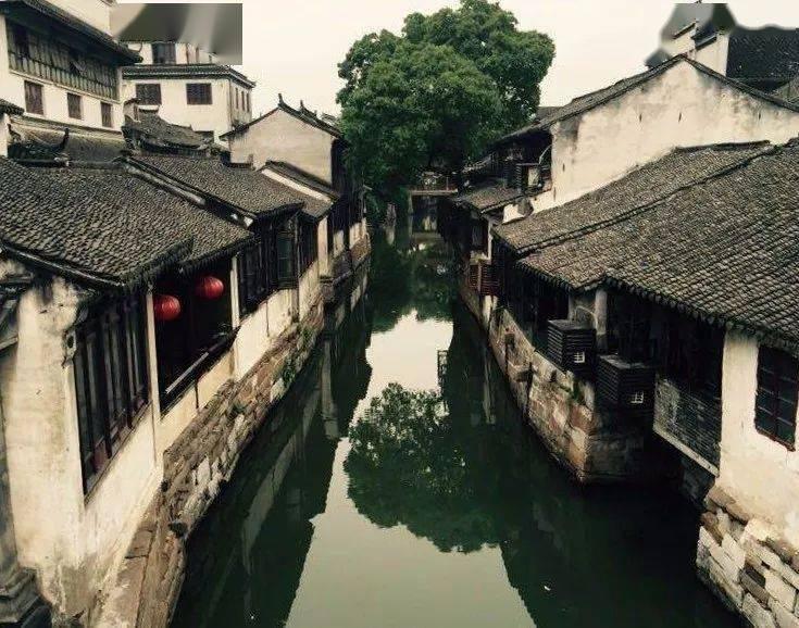 佘诗曼购豪宅登热搜，投资有道，堪称聪明女艺人！
